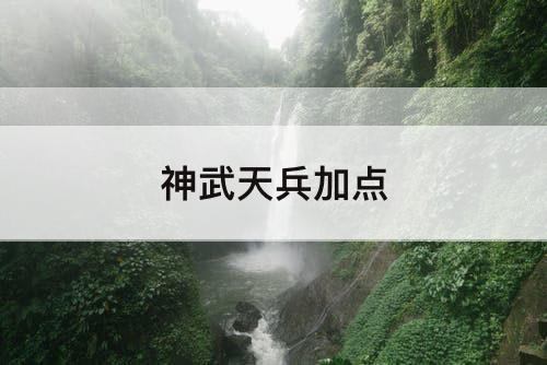 神武天兵加点