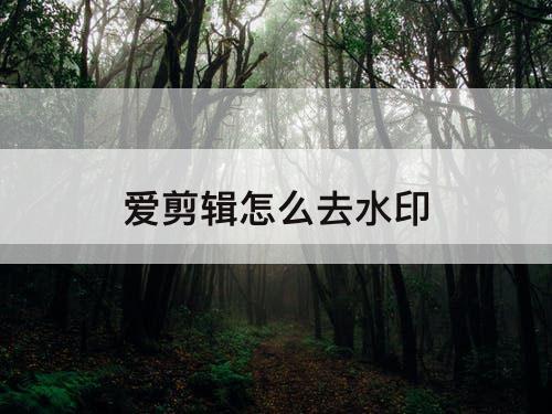 爱剪辑怎么去水印
