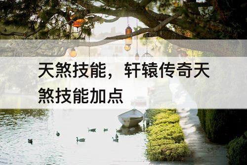 天煞技能，轩辕传奇天煞技能加点