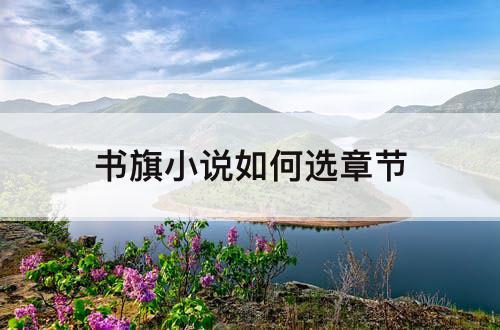 书旗小说如何选章节