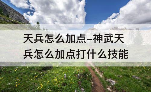 天兵怎么加点-神武天兵怎么加点打什么技能