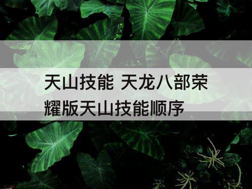 天山技能 天龙八部荣耀版天山技能顺序