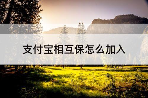 支付宝相互保怎么加入
