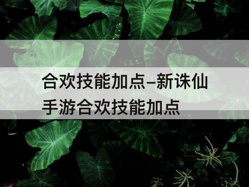 合欢技能加点-新诛仙手游合欢技能加点
