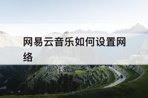 网易云音乐如何设置网络