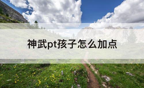 神武pt孩子怎么加点