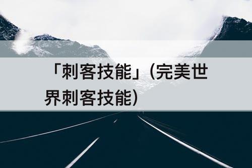 「刺客技能」(完美世界刺客技能)