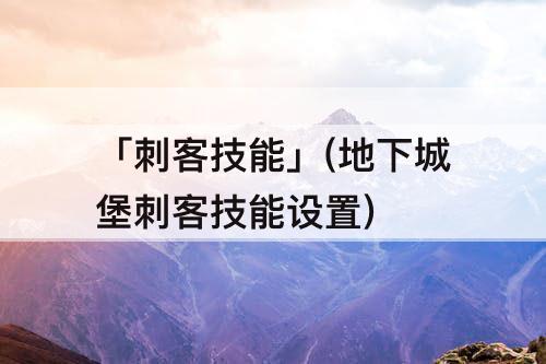 「刺客技能」(地下城堡刺客技能设置)