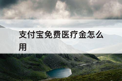 支付宝免费医疗金怎么用