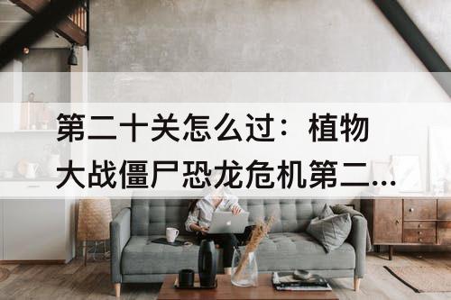 第二十关怎么过：植物大战僵尸恐龙危机第二十关怎么过