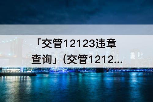 「交管12123违章查询」(交管12123怎么查违章-交管12123违章查询-PC6教学)