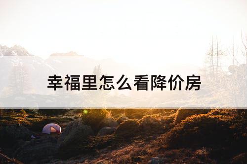 幸福里怎么看降价房