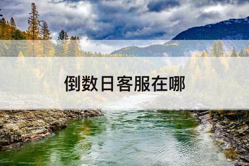 倒数日客服在哪