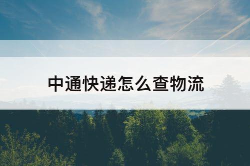 中通快递怎么查物流