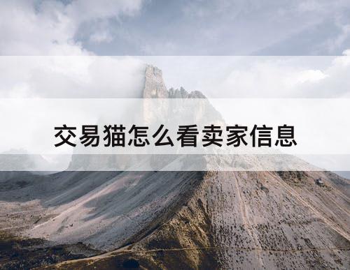 交易猫怎么看卖家信息