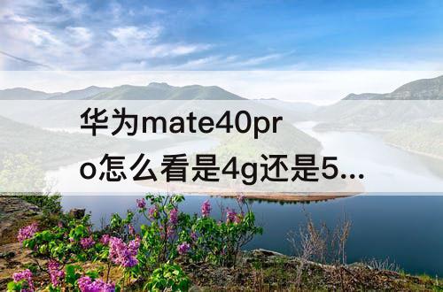 华为mate40pro怎么看是4g还是5g