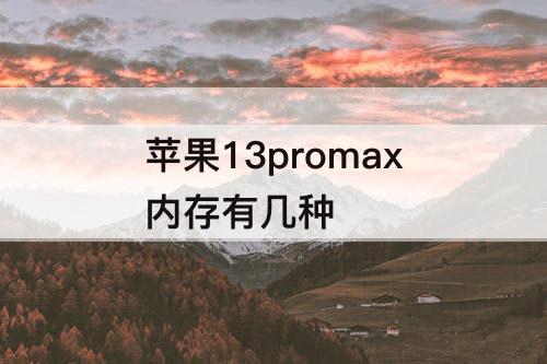 苹果13promax内存有几种