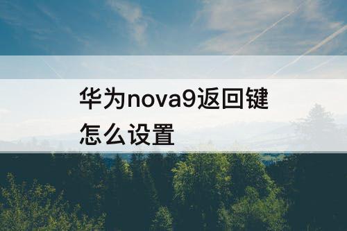 华为nova9返回键怎么设置