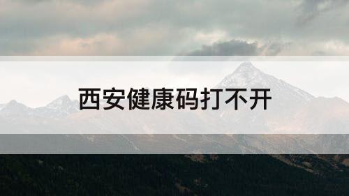 西安健康码打不开