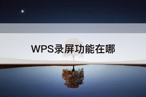 WPS录屏功能在哪