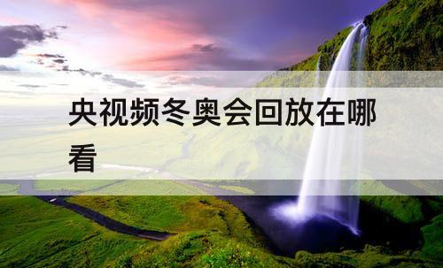 央视频冬奥会回放在哪看