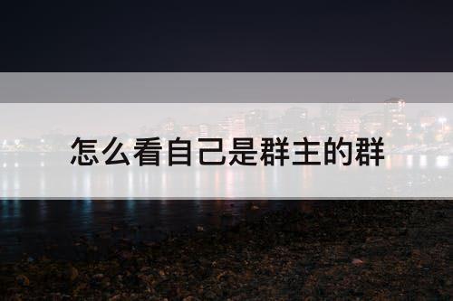 怎么看自己是群主的群