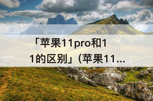 「苹果11pro和11的区别」(苹果11pro和11的区别哪个好)