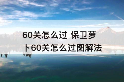 60关怎么过 保卫萝卜60关怎么过图解法