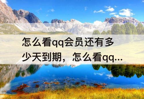 怎么看qq会员还有多少天到期，怎么看qq会员还有多少天到期手机