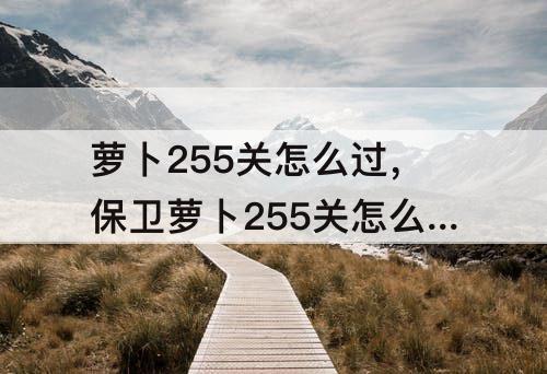 萝卜255关怎么过，保卫萝卜255关怎么过图解法