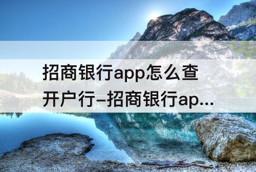 招商银行app怎么查开户行-招商银行app怎么查开户行代码