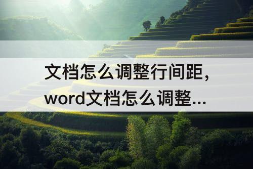 文档怎么调整行间距，word文档怎么调整行间距调整不了