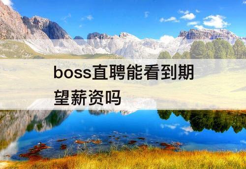 boss直聘能看到期望薪资吗