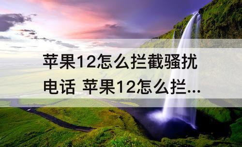 苹果12怎么拦截骚扰电话 苹果12怎么拦截骚扰电话怎么不显示