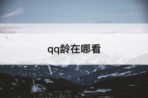 qq龄在哪看