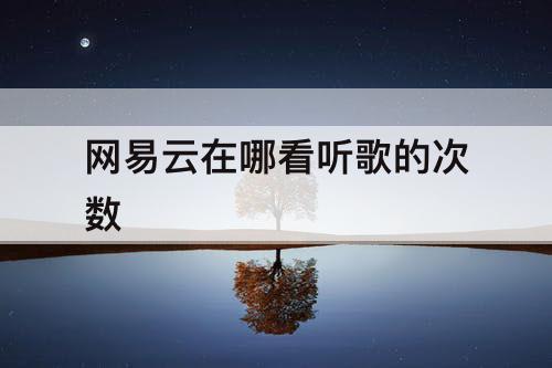 网易云在哪看听歌的次数