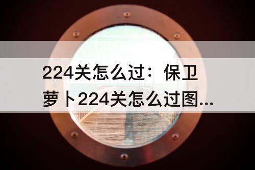 224关怎么过：保卫萝卜224关怎么过图解