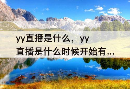 yy直播是什么，yy直播是什么时候开始有的
