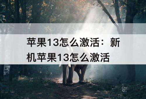 苹果13怎么激活：新机苹果13怎么激活