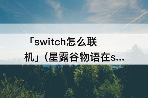 「switch怎么联机」(星露谷物语在switch怎么联机)