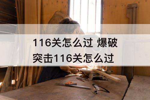 116关怎么过 爆破突击116关怎么过