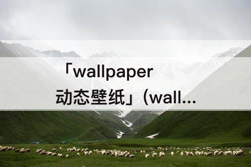 「wallpaper动态壁纸」(wallpaper动态壁纸怎么导出)