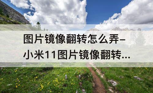 图片镜像翻转怎么弄-小米11图片镜像翻转怎么弄