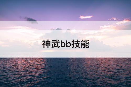 神武bb技能