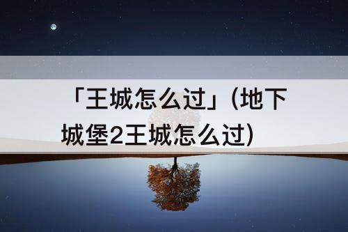 「王城怎么过」(地下城堡2王城怎么过)
