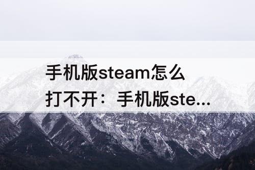 手机版steam怎么打不开：手机版steam怎么打不开游戏