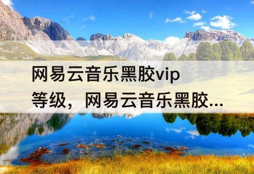 网易云音乐黑胶vip等级，网易云音乐黑胶vip等级有什么用