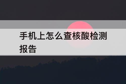 手机上怎么查核酸检测报告