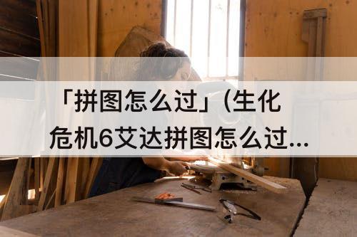 「拼图怎么过」(生化危机6艾达拼图怎么过)
