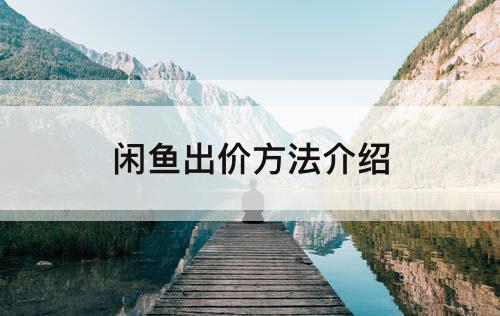 闲鱼出价方法介绍